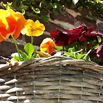 Bed And Breakfast Allure